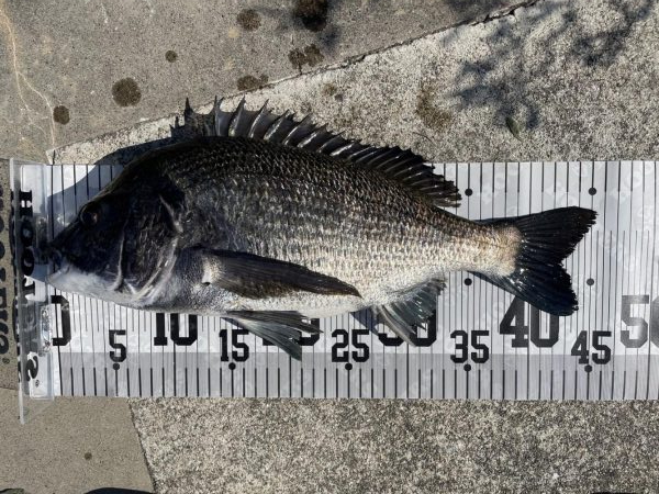 イチノ兄弟、釣果！