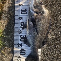 イチノ兄弟、釣果!