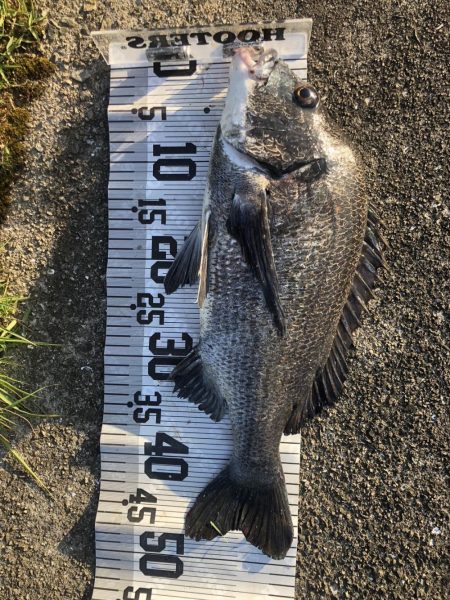 イチノ兄弟、釣果!