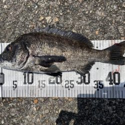 イチノ兄弟、釣果!