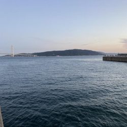 サビキで大漁！