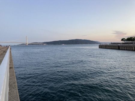 サビキで大漁！