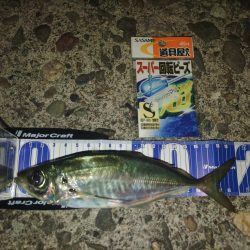 フロートゲーム~