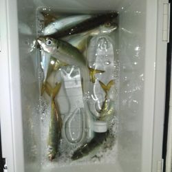 フロートゲーム~