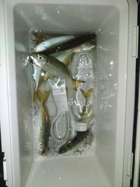 フロートゲーム~