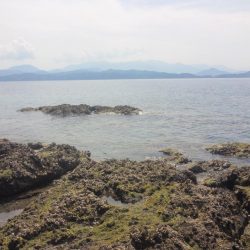 あまり釣れませんでした