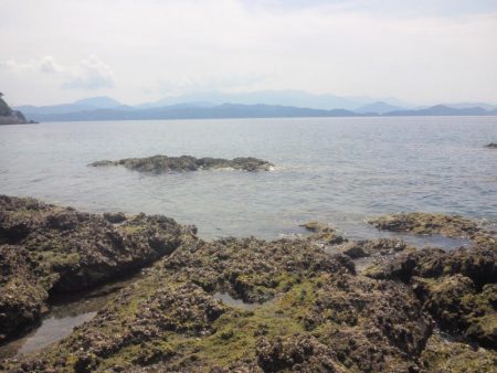 あまり釣れませんでした