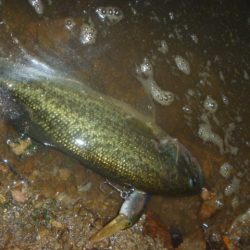 連休ラストバス