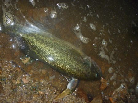 連休ラストバス