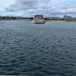 サビキとナス型オモリのみでサビキ釣り