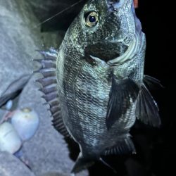 南大阪フロートゲーム