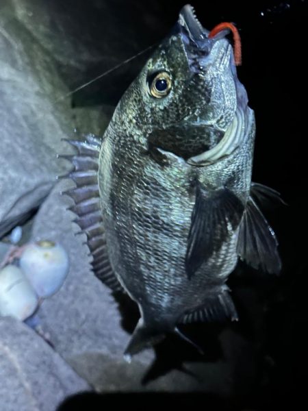 南大阪フロートゲーム