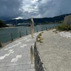 ちょい投げキス釣り