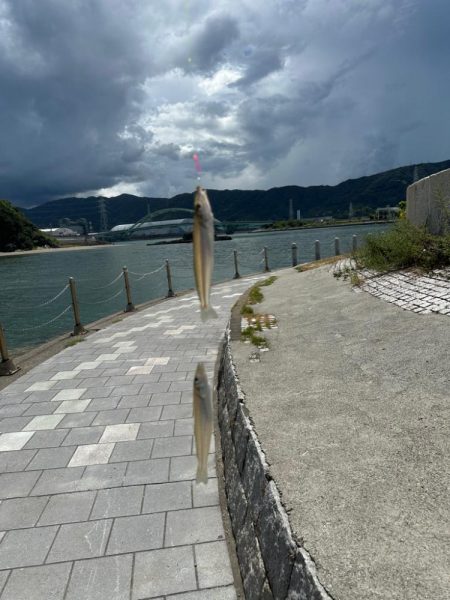 ちょい投げキス釣り