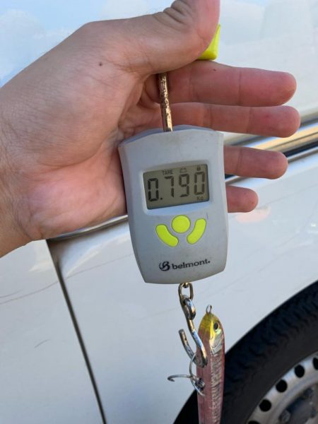 今日もショゴ！