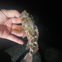 難しい、、、、