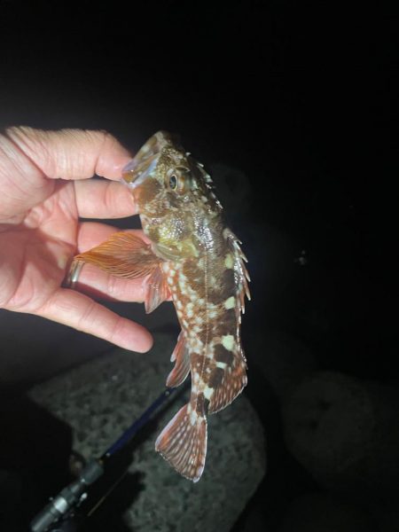 難しい、、、、