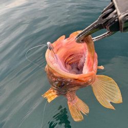 早朝ボートアジング