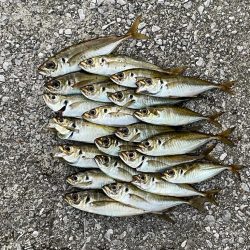 月がキレイやった