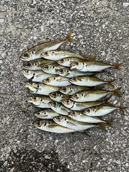 月がキレイやった