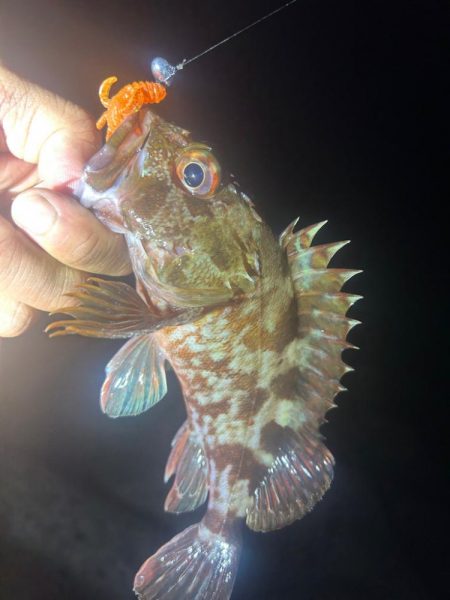 ライトロックゲーム