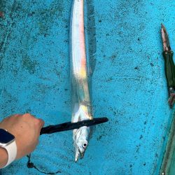 タチウオテンヤ