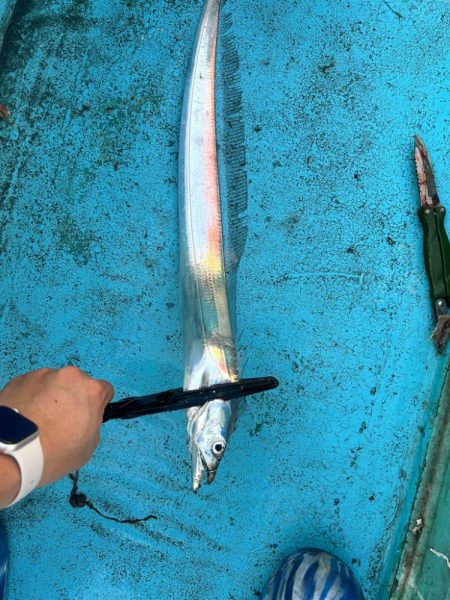 タチウオテンヤ