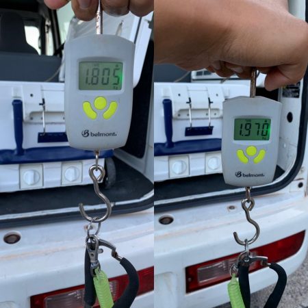 ローデッド大活躍