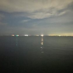 ツライトゲーム