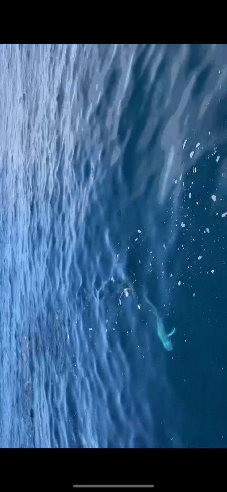 初オフショアキャスティング