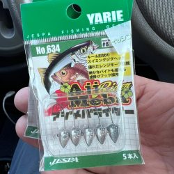 ワームテストアジング!