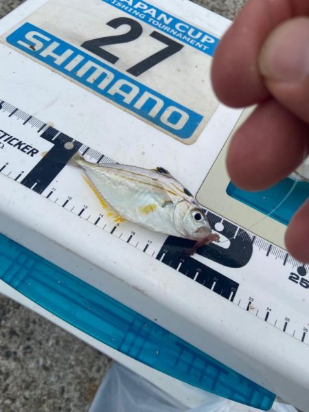 シロギスタ:消えた2匹目のドジョウ