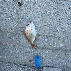 まだ早いですね〜‼️