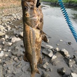 猛暑日で釣りは大変
