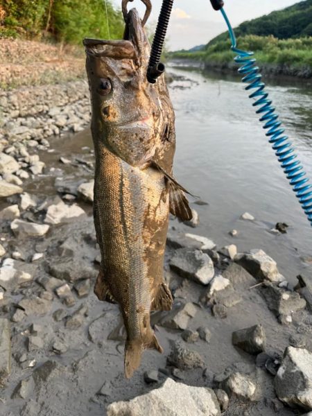 猛暑日で釣りは大変