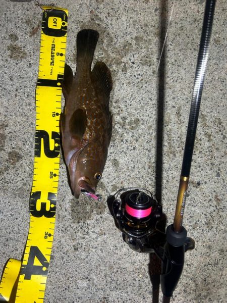 初！！🎣🐟…