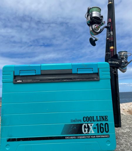 またまた、行ってしまいました。💦