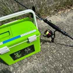 姫路エギング!!