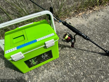 姫路エギング!!