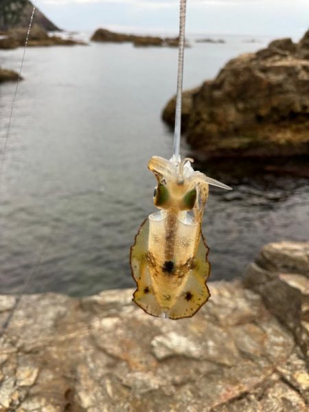 ちょこっとエギング