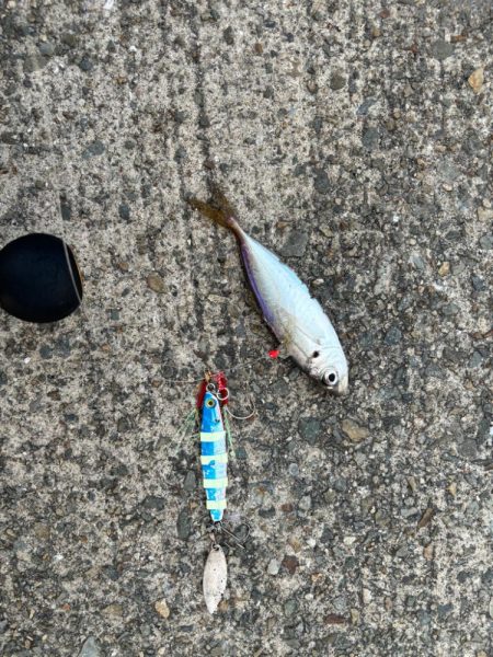 ジグサビキ　29