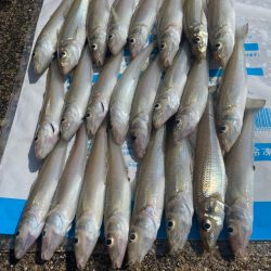 ドハマり中‼️