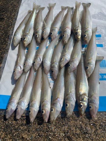 ドハマり中‼️