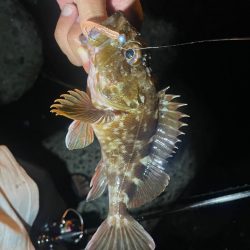 ツライトゲーム