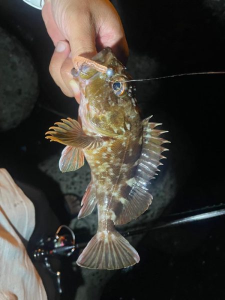 ツライトゲーム