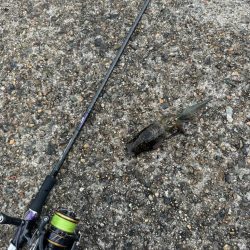 台風前エギング