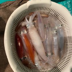 まだまだ暑いイカメタル