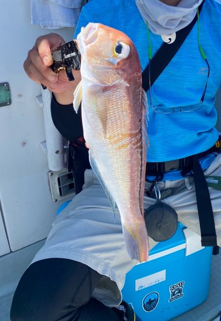 SLJで鳥山アタック！