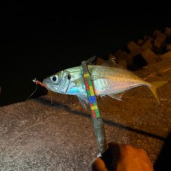 爆風シャロー攻略