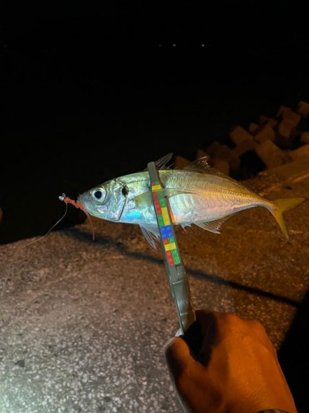 爆風シャロー攻略